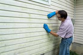 Affordable siding repair and maintenance services in Belton, TX